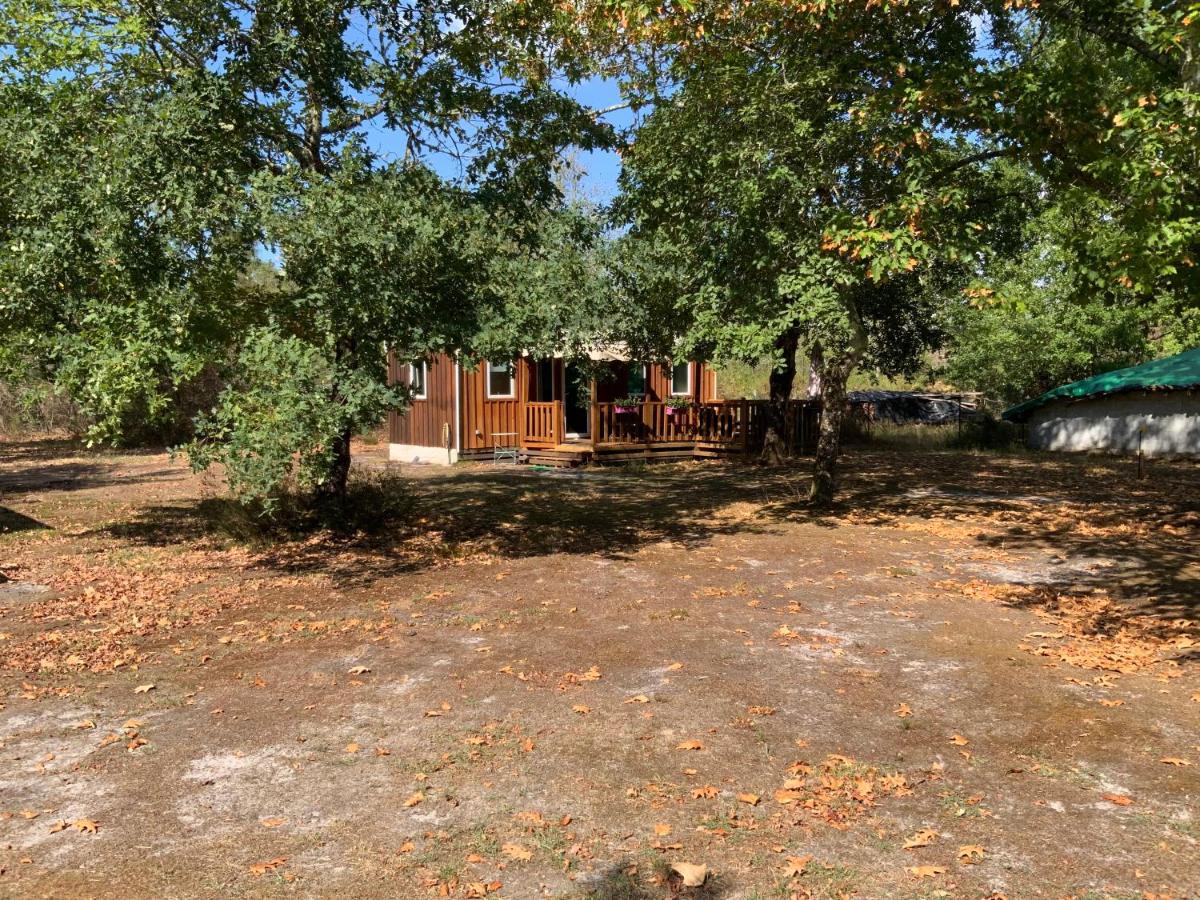 Domaine De Labelo Bed & Breakfast Commensacq Exterior photo