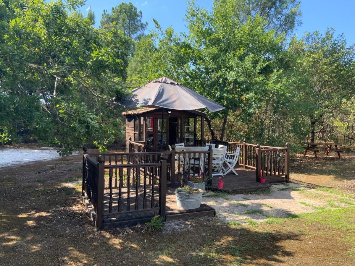 Domaine De Labelo Bed & Breakfast Commensacq Exterior photo